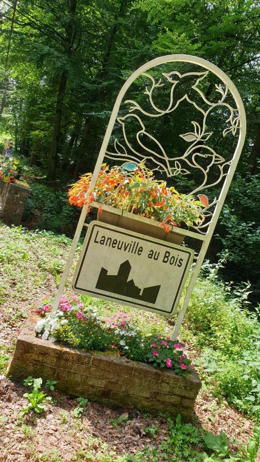 Bed and Breakfast Le Prangeleux Tenneville Esterno foto